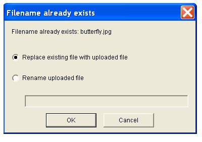 File name already exists dialog box.