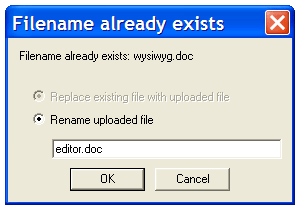 Filename Already Exists dialog box with replace option disabled.