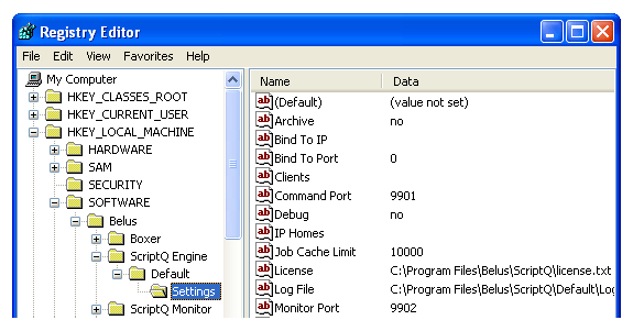 Screen shot of ScriptQ registry settings.