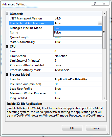 Enable 32-Bit Applications property in Advanced Settings dialog box.